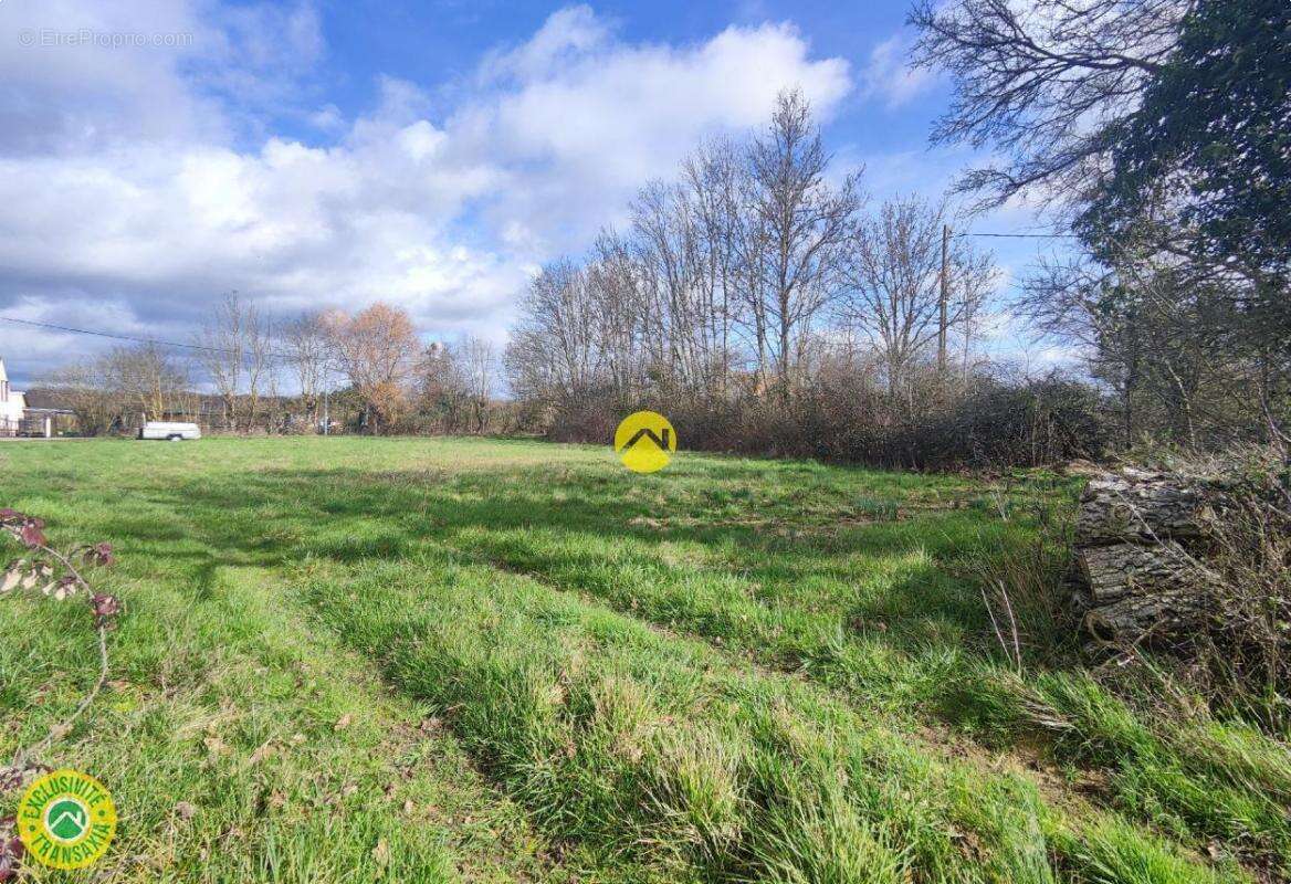 Terrain à MENETOU-COUTURE