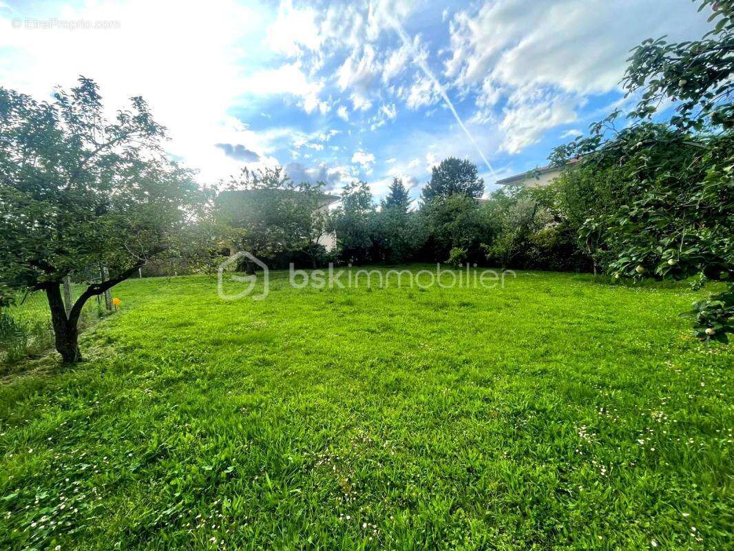 Terrain à vendre  887 m² à Blagnac - photo 20