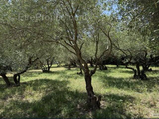Terrain à SOMMIERES