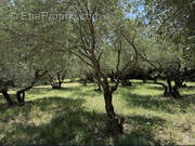 Terrain à SOMMIERES