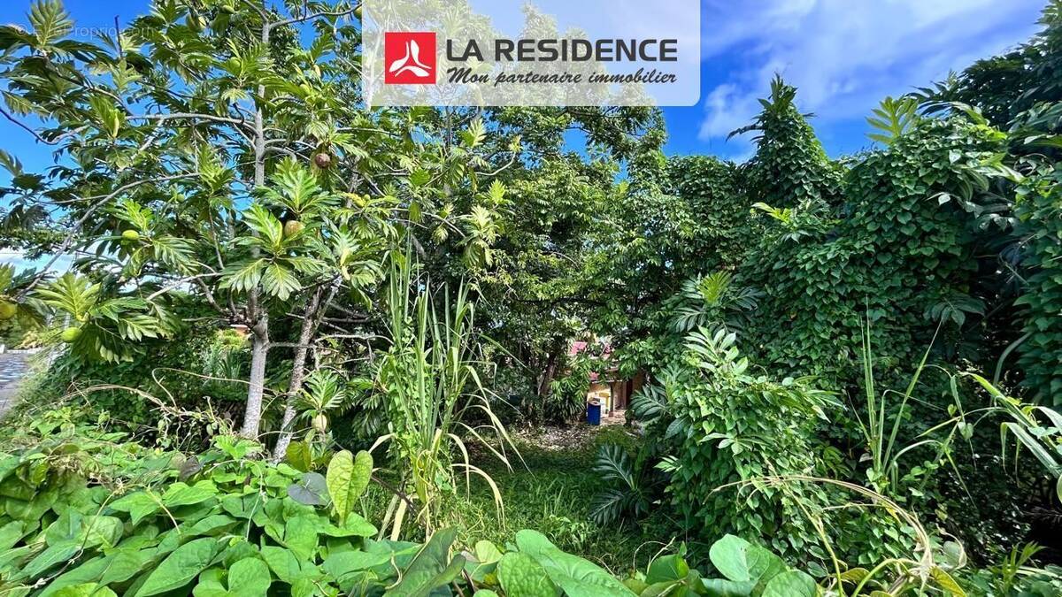 Terrain à RIVIERE-SALEE