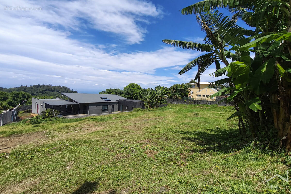 Terrain à PETITE-ILE