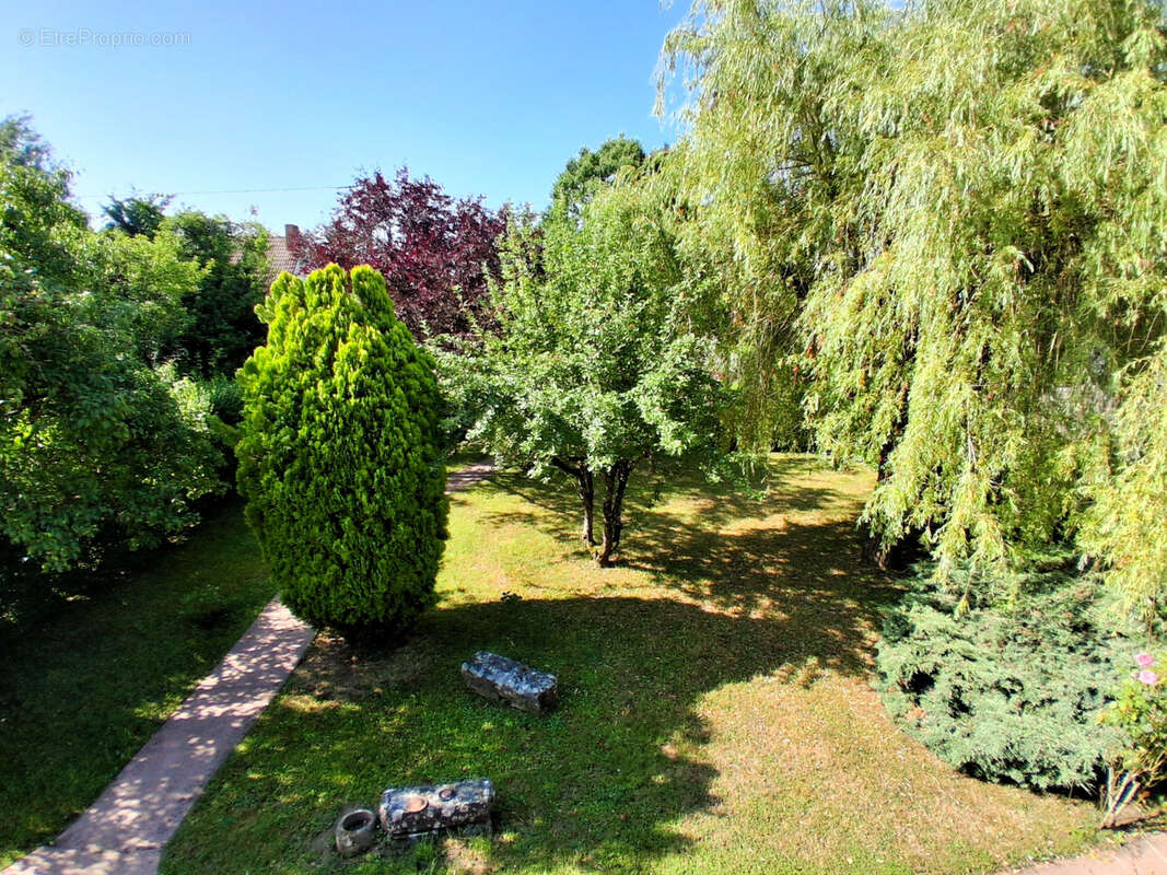 Pavillon avec garage, jardin clos et arboré - photo 3