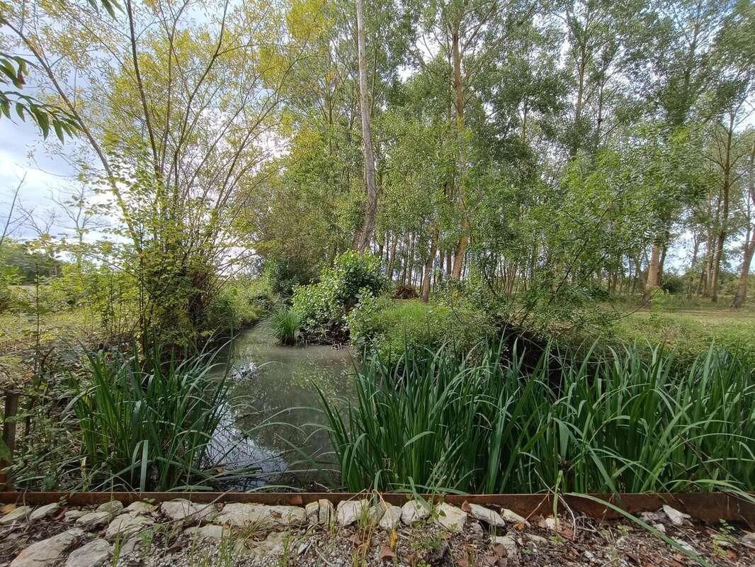 Charmante maison avec piscine et maison d'amis, proche Maillezais - photo 19