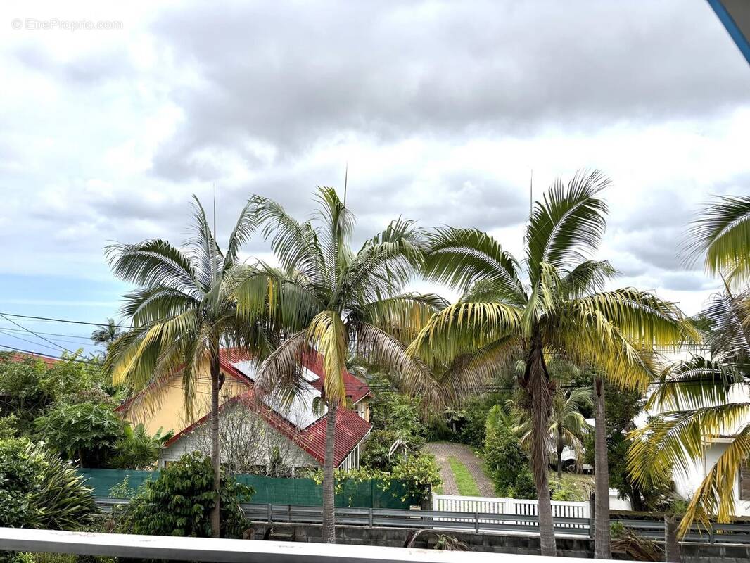 Terrain à LE TAMPON