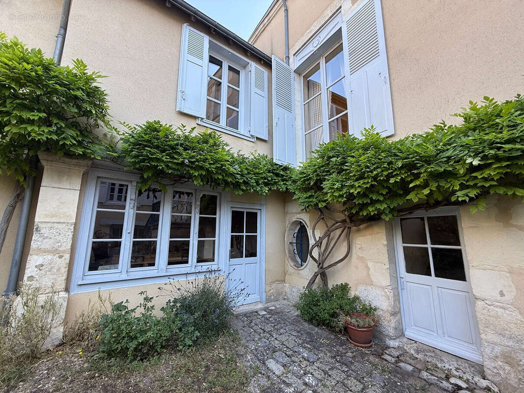 Maison 343 m² à Issoudun  - photo 8