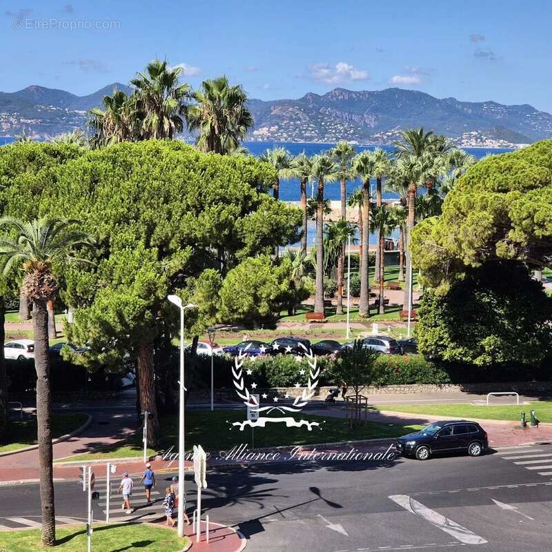 Beau 3p vue mer - cave - parking - photo 12