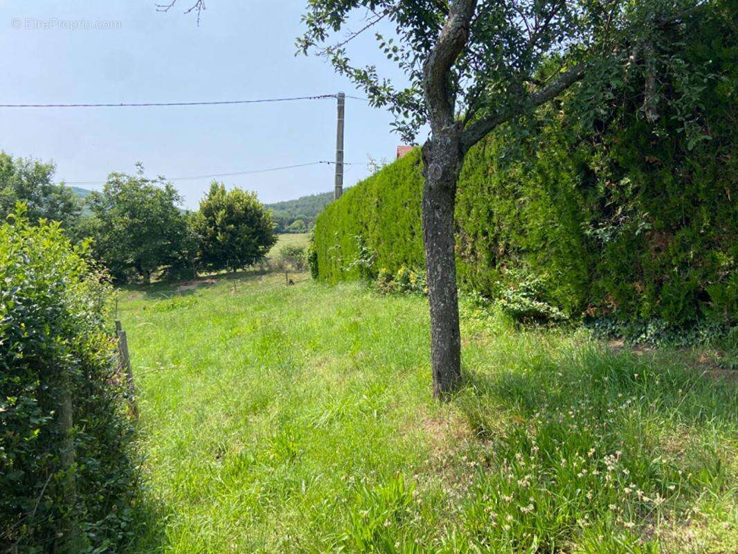 Maison à POLLIONNAY