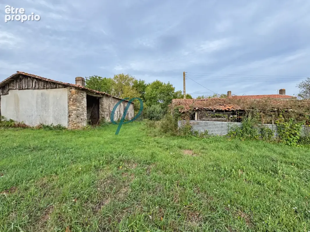 Maison à rénover - Drain - photo 3