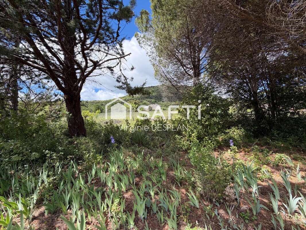 Photo 4 - Terrain à LODEVE