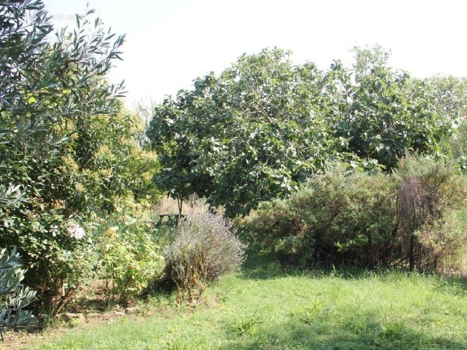 Terrain à CASTELNAUDARY