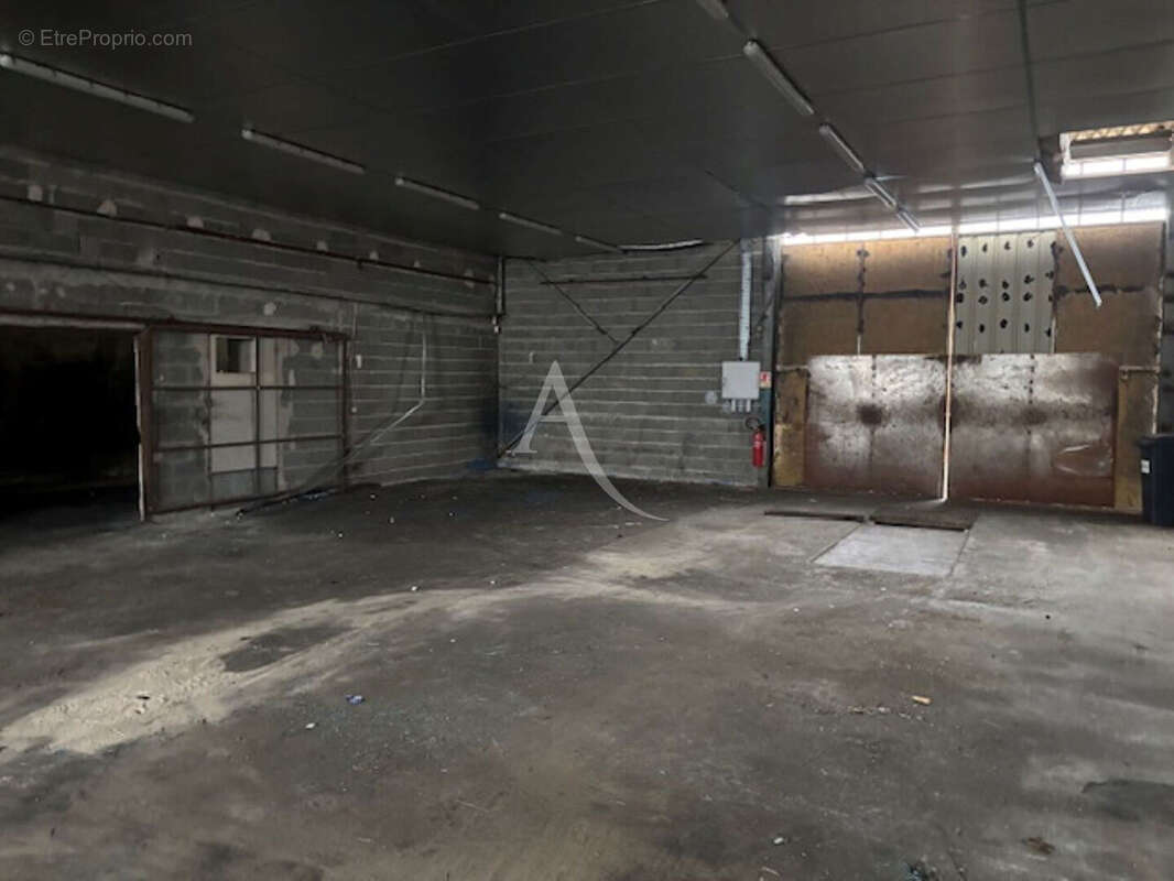 Commerce à NOUAN-LE-FUZELIER