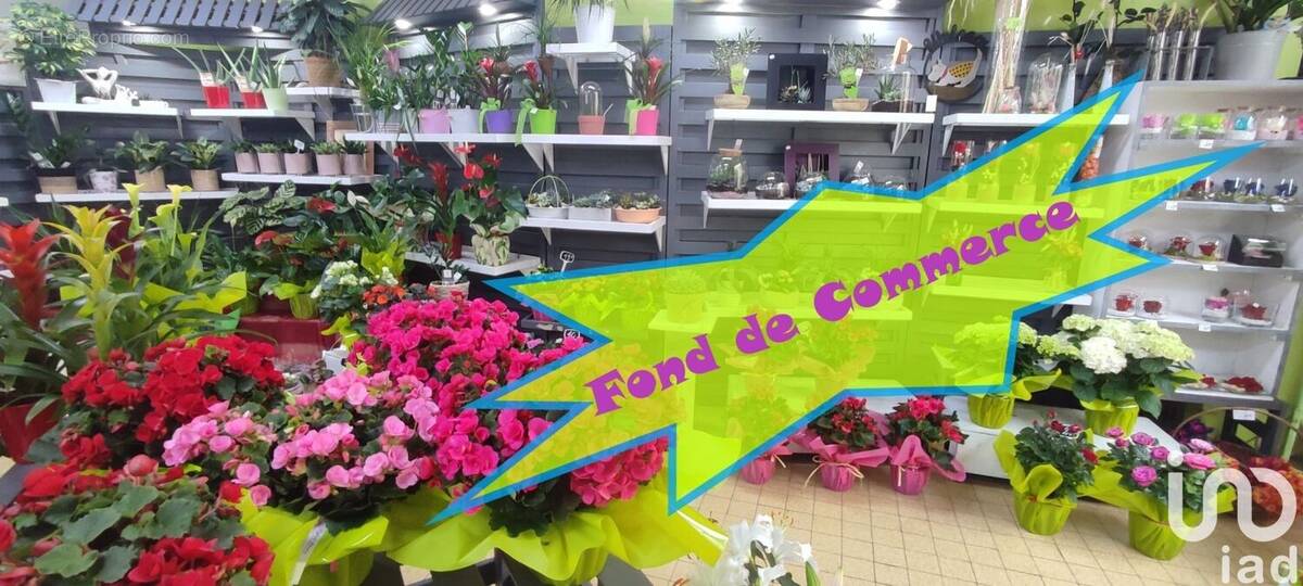 Photo 1 - Commerce à SAINT-PIERRE-D&#039;ALBIGNY