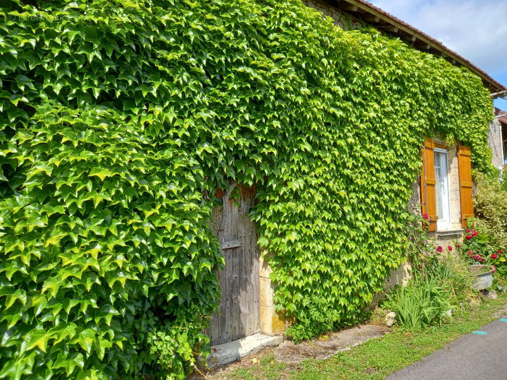 Maison à SUSSEY