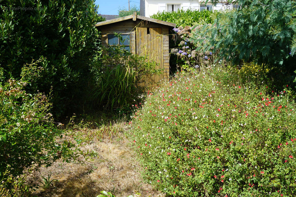 Maison au calme à 5 mn de Paimpol - photo 19