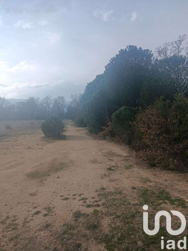 Photo 9 - Terrain à ORTAFFA