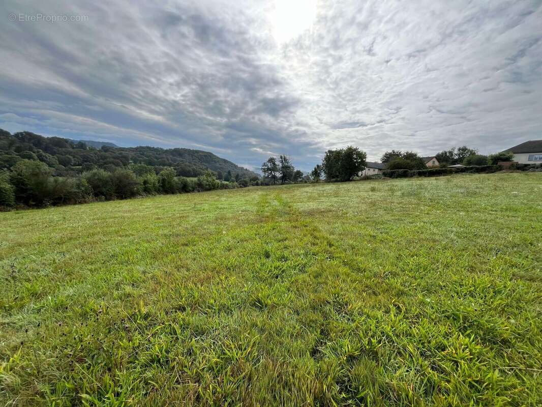 Terrain 6180 m² à Vebret  - photo 3