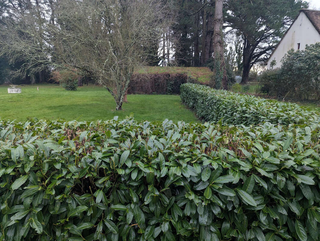 Terrain à SAINT-LYPHARD