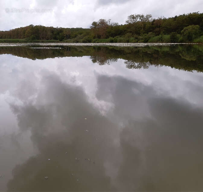 Terrain à TOUL