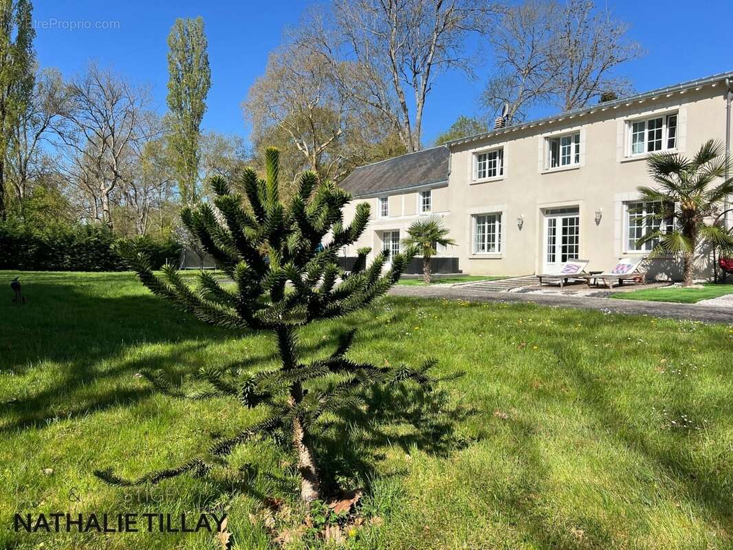Orléans, Propriete à vendre, superbe Moulin rénové et bordé par la rivière, a l est d Orleans, parcelle de 4500 m² - photo 6
