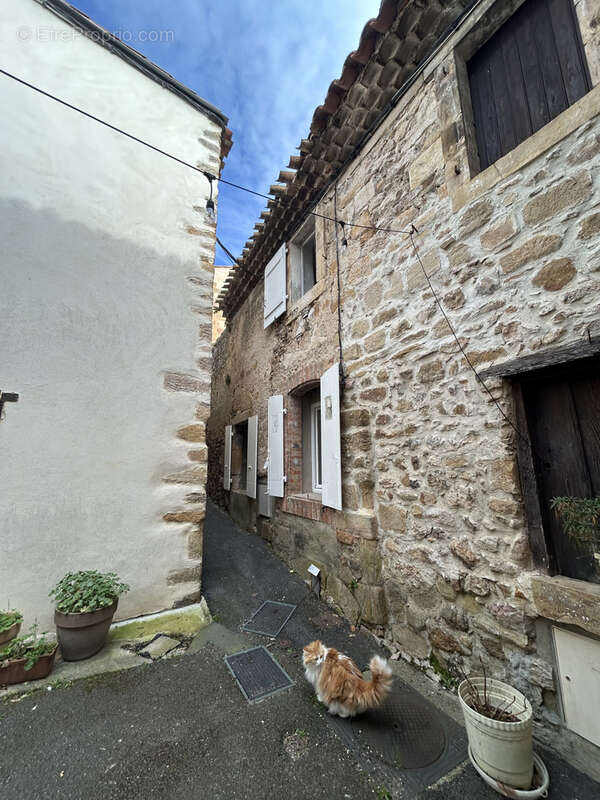 A vendre  maison en duplex       alet les bains - photo 9