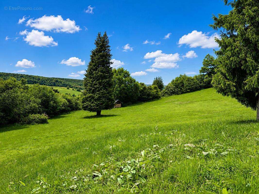14100 Hermival  Maison 8 pièces 7000 m² de terrain 279 000 Euros - photo 2