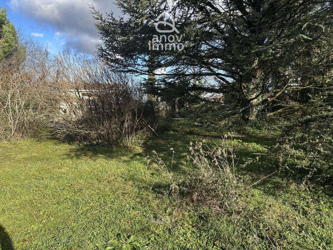 Terrain à SAINT-BONNET-DE-MURE