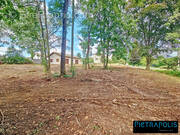 Terrain à LA CHAPELLE-DE-GUINCHAY