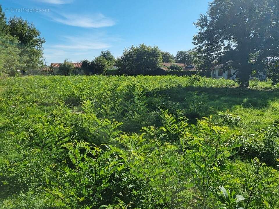 Terrain à SAINT-MEDARD-EN-JALLES