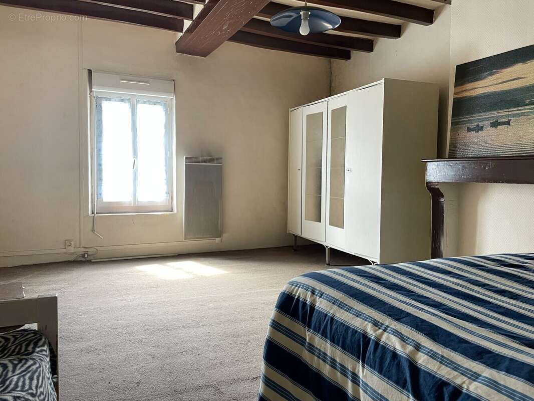 Maison 113 m² à Saint-Celerin  - photo 9