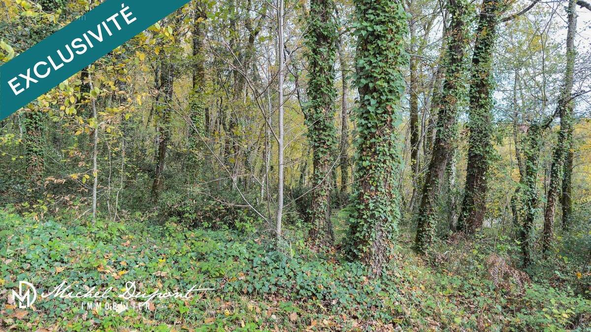 Photo 1 - Terrain à MEYRALS