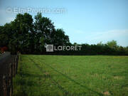 Terrain à SAINT-PAUL-DE-VARAX