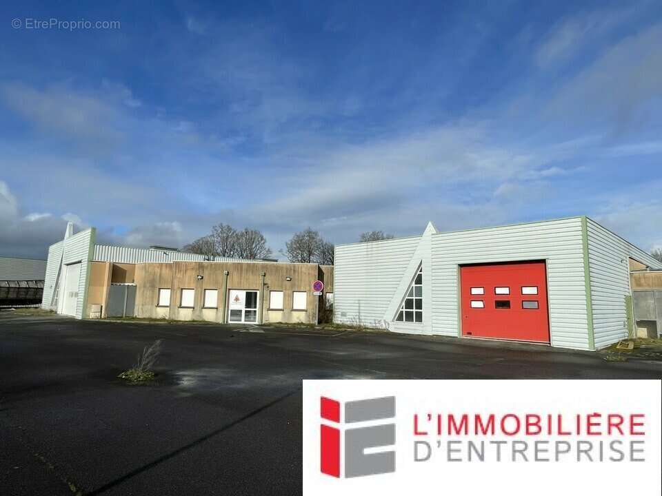 Local d'activite a vendre - photo 3