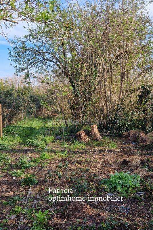 Fort potentiel – Maison 130 m² avec terrain – 2 logements possibles - photo 6