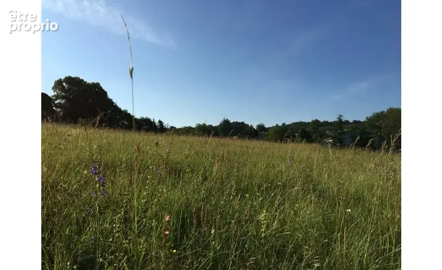 Terrain à SAINT-ANDRE-D'ALLAS