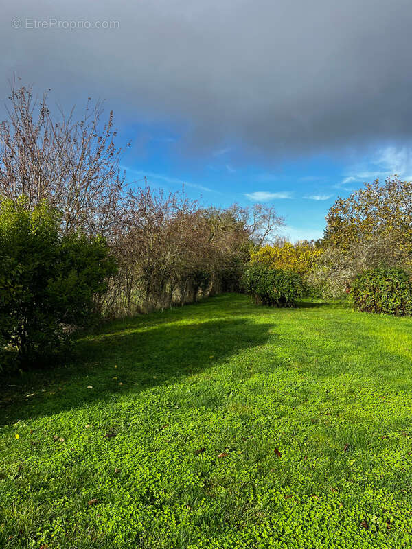 Maison à VOUZAILLES
