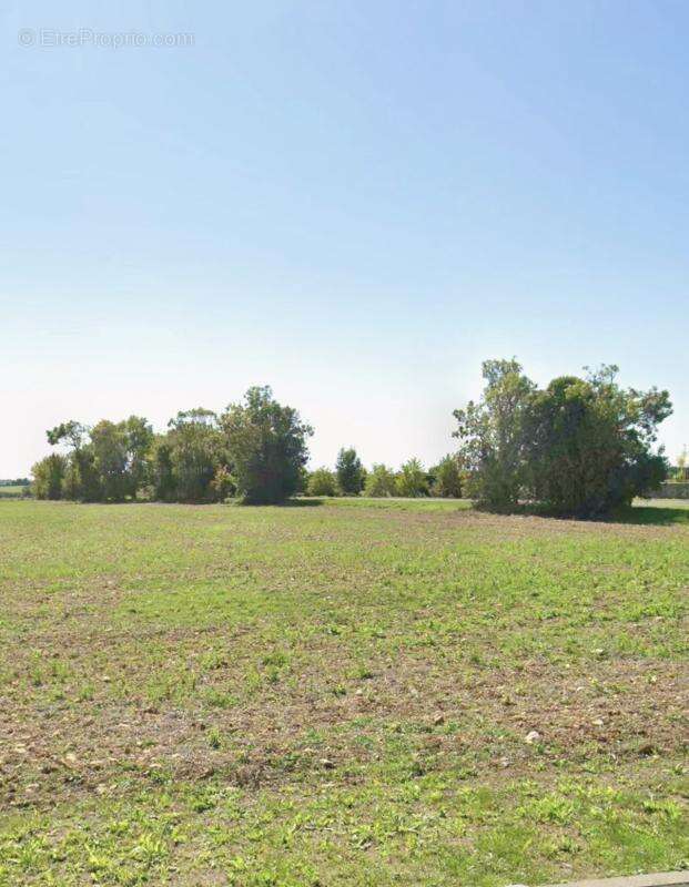 Terrain à SAINT-ROGATIEN