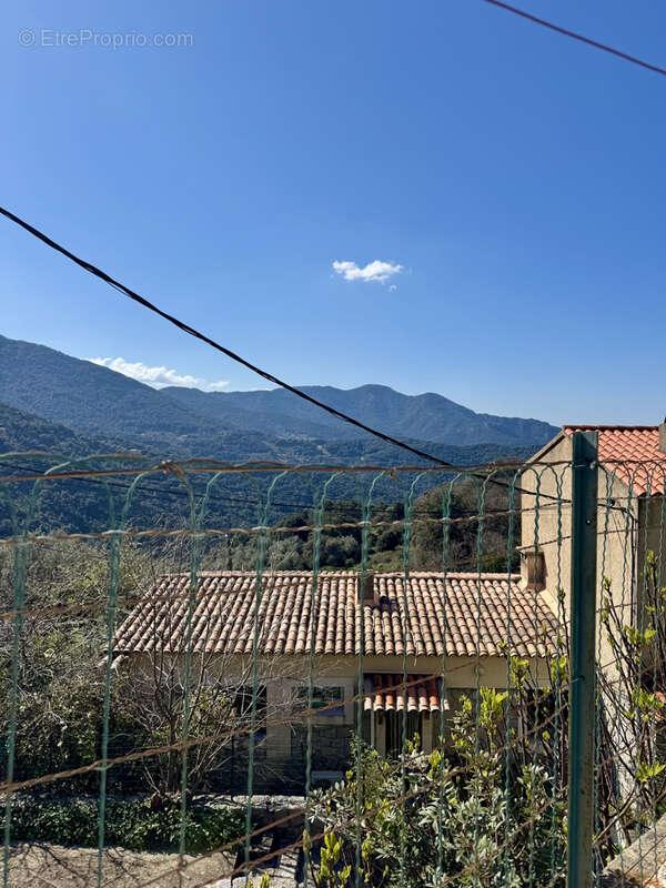 Appartement T2 Balogna avec terrasse - photo 5