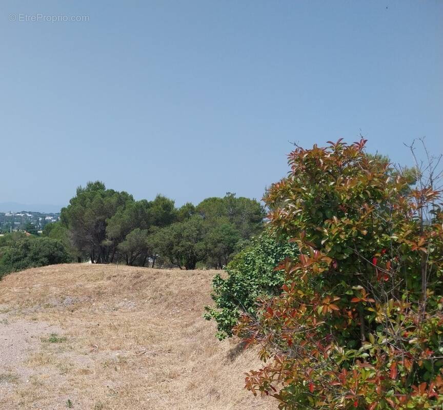 Terrain à FREJUS