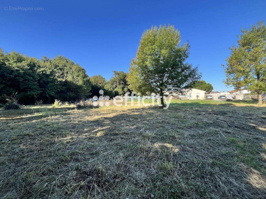 Terrain à MEDIS