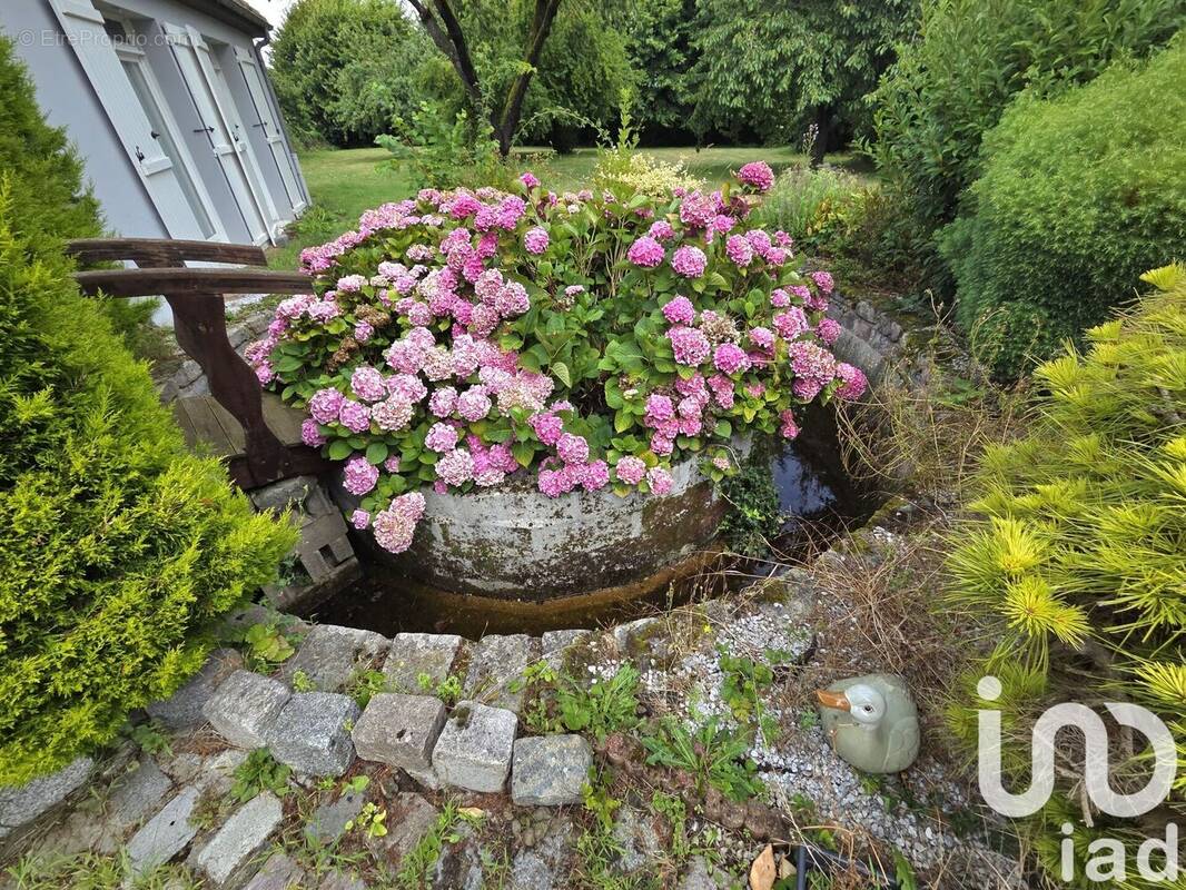 Photo 1 - Maison à MAREIL-EN-FRANCE