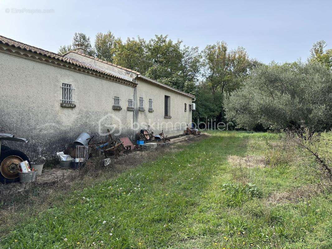 Maison à MONTFRIN