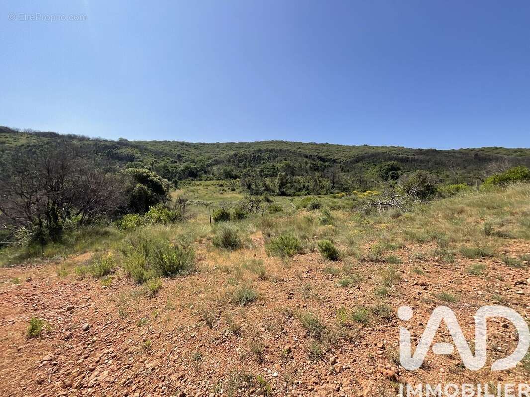 Terrain 321615 m² à Aumelas  - photo 2
