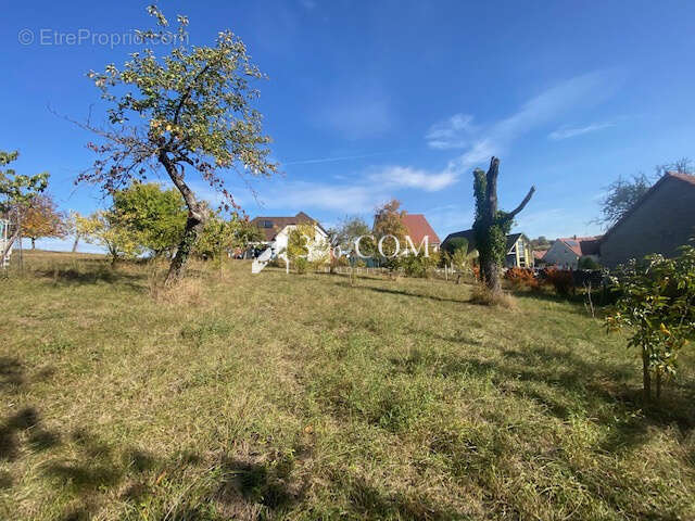 Terrain à DETTWILLER