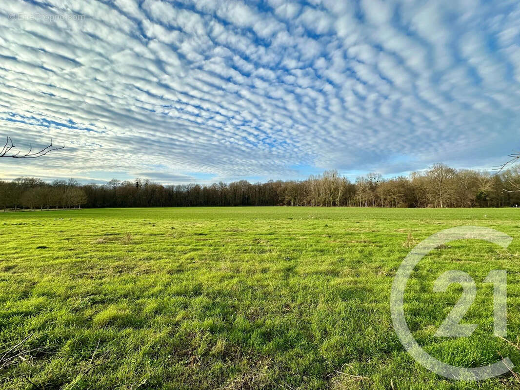 Terrain à LESCHES