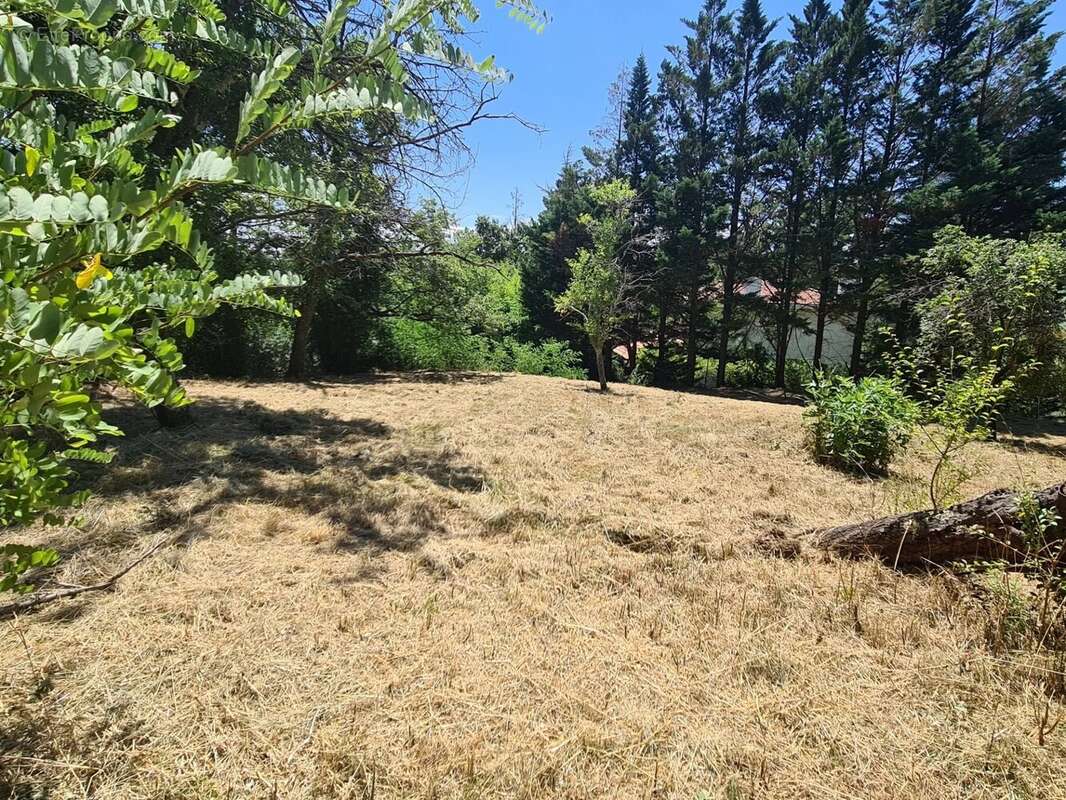 Terrain 1200 m2 - photo 2