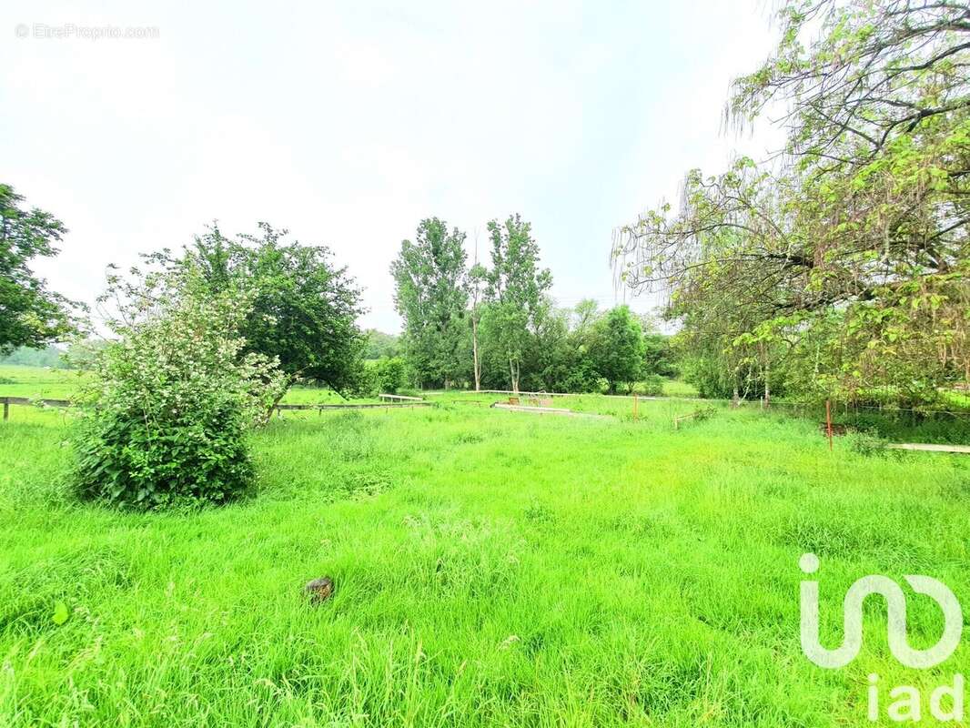 Photo 5 - Maison à GEVIGNEY-ET-MERCEY