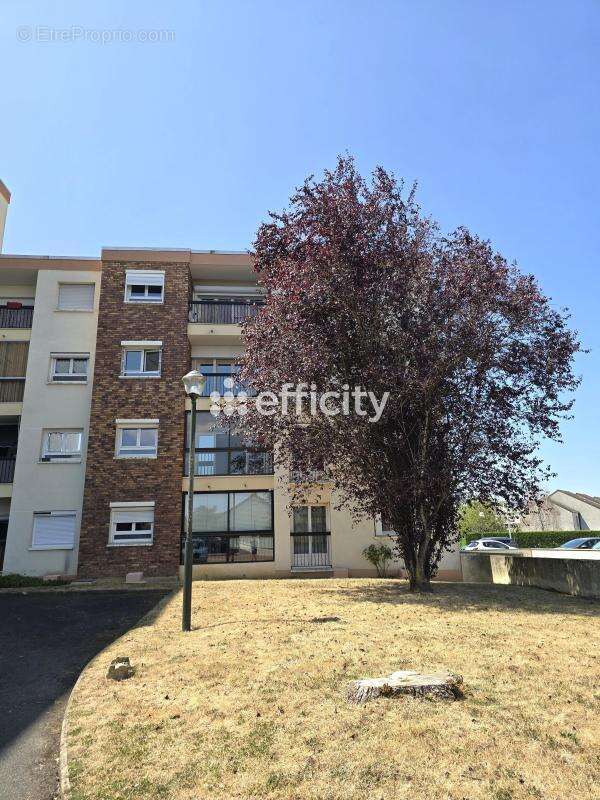 Appartement - photo 12