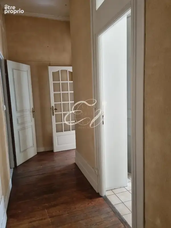 Vente lyon 69003 - metro garibaldi t2 cachet 45m2 a renover dans immeuble ancien - photo 7
