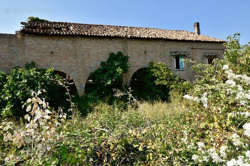 Propriete à vendre 0 pièces VAISON LA ROMAINE (84) - photo 5